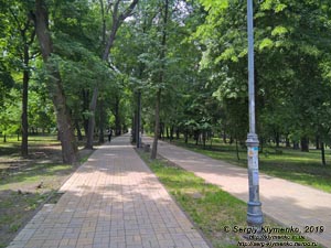 Фото Киева. Парк Киевского Политехнического института.