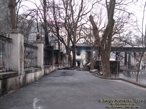 Фото Киева. Возле главного входа на стадион «Динамо»: тут уже почти наведен порядок. «Евромайдан» 2 марта 2014 года, около 13:40.