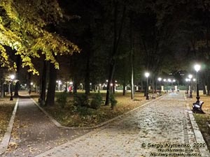 Киев вечерний. В Городском парке вечером. Вид от стадиона «Динамо» в сторону Городского парка.
