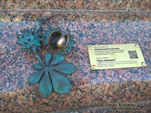 Фото Киева. Миниатюрный памятник «Киевский каштан» (проект «Шукай!») на здании
Киевского городского совета и Киевской городской государственной администрации (Крещатик № 36).