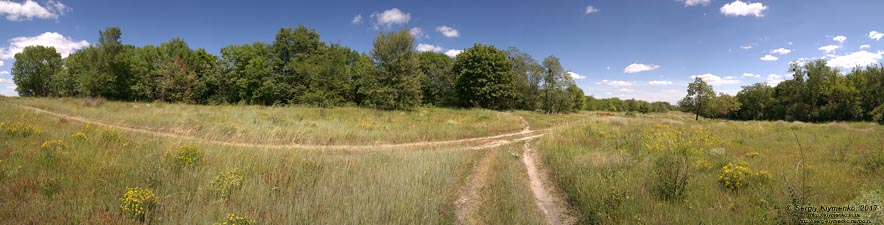 Фото Киева. Лысая гора. Панорама (~180°) на вершине горы (50°23'49"N, 30°32'40"E).