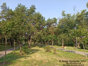 Фото Киева. В парке «Киото» (Деснянский район).