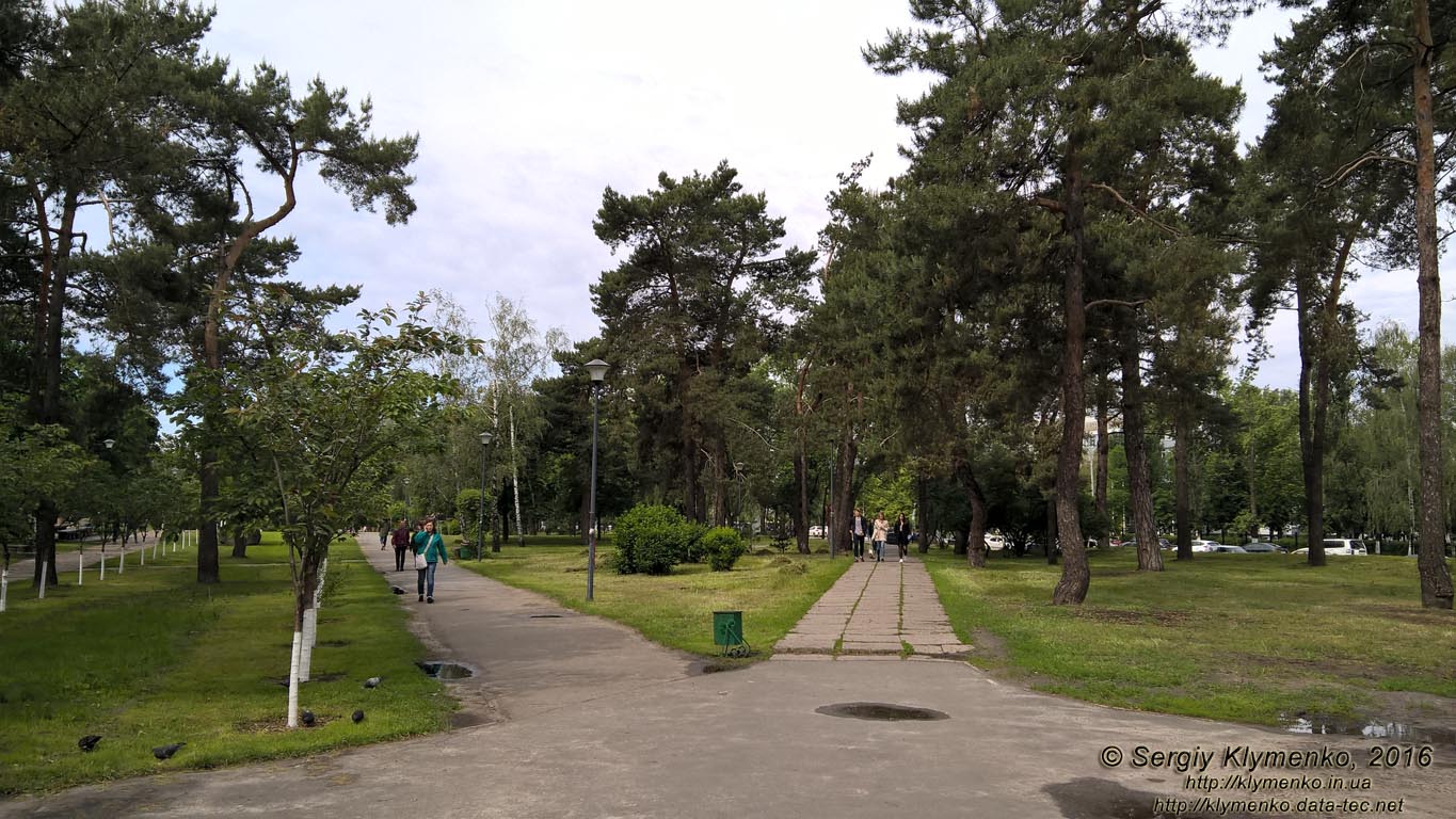 Фото Киева. В парке «Киото» (Деснянский район).
