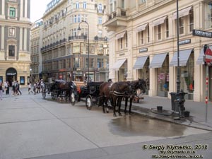 Вена (Vienna), Австрия (Austria). Фото. Фиакры (Fiaker) на пересечении улиц Jungferngasse и Грабен (Graben).