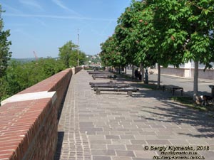 Будапешт (Budapest), Венгрия (Magyarország). Фото. Квартал Будайской крепости (Budai Várnegyed), Променад Арпада Тота (Tóth Árpád sétány). Исторические пушки (Történelmi ágyúk).