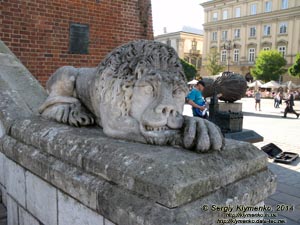 Фото Кракова. Старый Город. Площадь Главный Рынок (Rynek Główny). Лев, который охраняет вход в башню бывшей ратуши (Wieża ratuszowa w Krakowie).