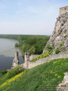 Словакия (Slovensko). Фото. Девинский град (Devínsky hrad). Вид на Дунай.