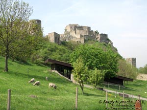 Словакия (Slovensko). Фото. Девинский град (Devínsky hrad).