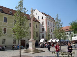 Фото Братиславы (Словакия). Старый город (Staré Mesto). Марианский столб (Mariánsky stĺp na Františkánskom námestí) на улице Františkánske námestie.