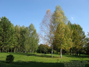Белая Церковь, Александрийский парк. Фото. Пейзаж невдалеке от беседки.