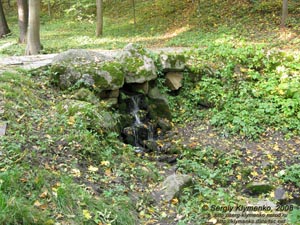 Белая Церковь, Александрийский парк. Фото. Один из малых водопадов парка (в Восточной балке, вблизи источника «Лев»).