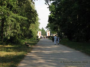 Белая Церковь, Александрийский парк. Фото. По дорожке к главному входу.