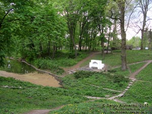 Белая Церковь, Александрийский парк. Фото. Ниже «Китайского мостика» - «Половичев» пруд.