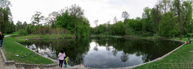 Белая Церковь, Александрийский парк. Фото. Пейзаж «Лазневого» (банного) пруда, вид от «Руин». Панорама ~135°.