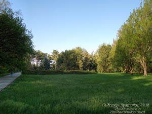 Херсонская область. Аскания-Нова. Фото. В дендропарке.
