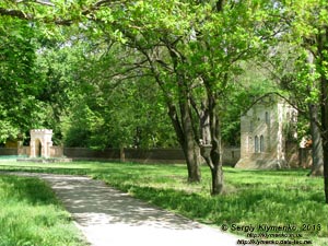 Херсонская область. Аскания-Нова. Фото. Один из входов в дендропарк «Аскания-Нова».