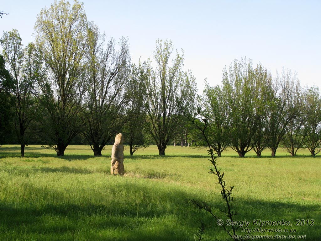 Херсонская область. Аскания-Нова. Фото. В дендропарке. Одна из «Половецких баб».