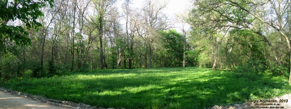 Херсонская область. Аскания-Нова. Фото. В дендропарке. Панорама ~90°.