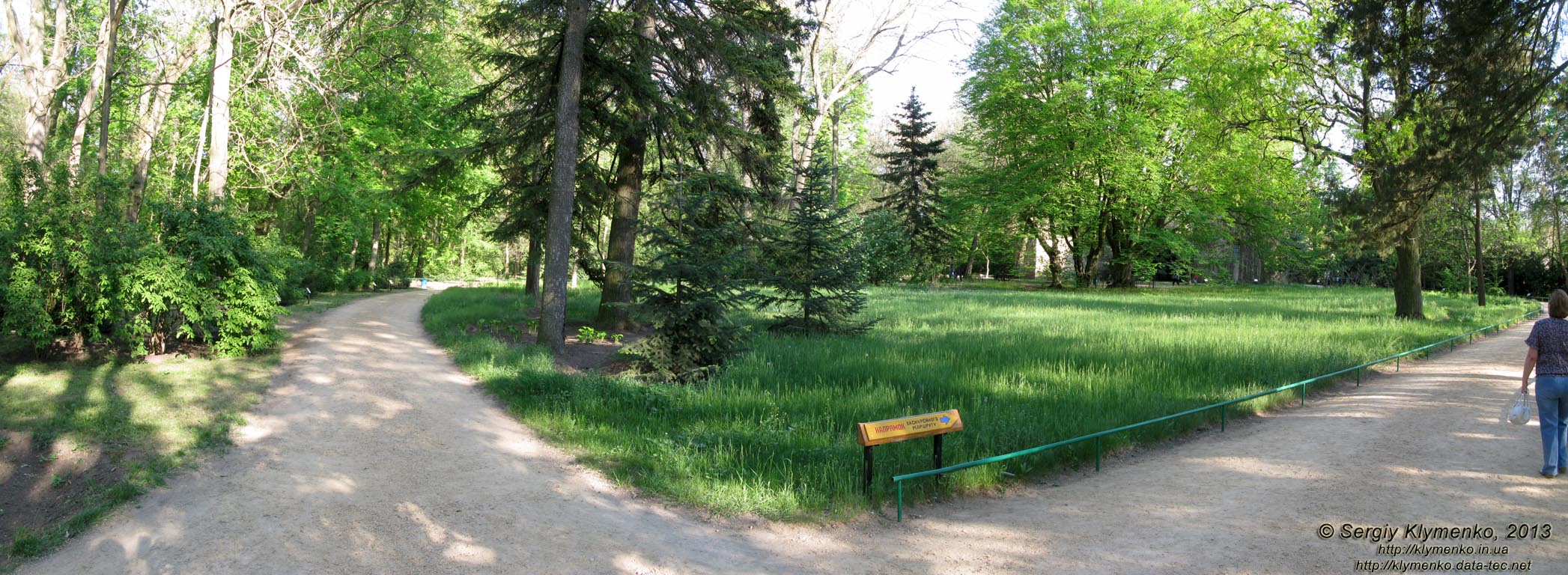 Херсонская область. Аскания-Нова. Фото. В дендропарке. Панорама ~90°.