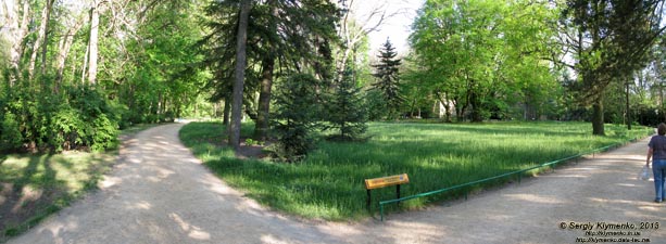 Херсонская область. Аскания-Нова. Фото. В дендропарке. Панорама ~90°.