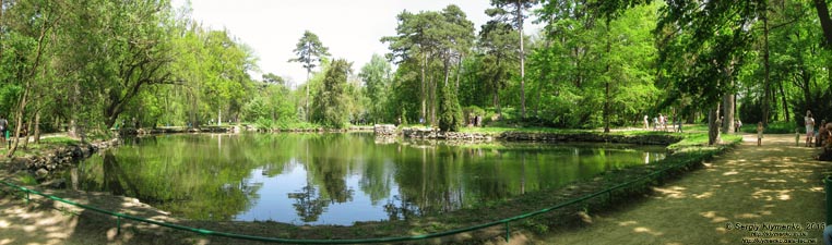 Херсонская область. Аскания-Нова. Фото. В дендропарке. Озеро, сосны и грот на берегу озера. Панорама ~120°.