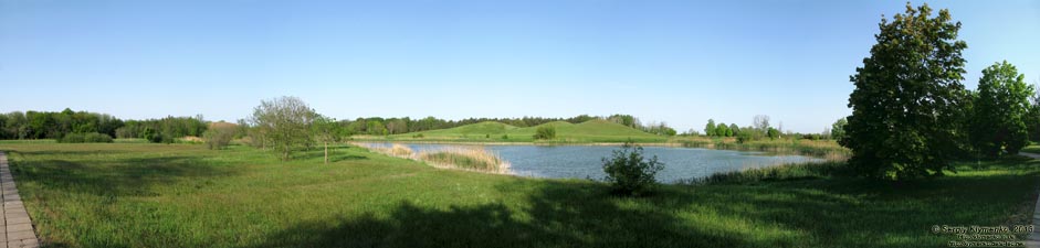 Херсонская область. Аскания-Нова. Фото. В дендропарке. Панорама ~150°.