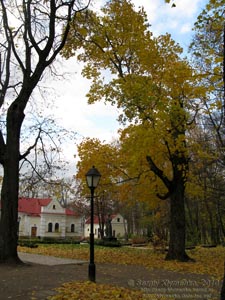 Батурин. Фото. Парк-памятник садово-паркового искусства местного значения «Кочубеевский».