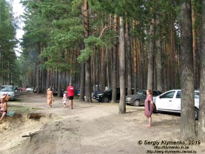«Голубые озёра» (село Олешня, Черниговская область). Фото. Большое озеро (51°57'53"N, 31°10'06"E). Машины и палатки в сосновом лесу на берегу озера.