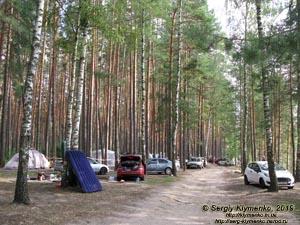 «Голубые озёра» (село Олешня, Черниговская область). Фото. Большое озеро (51°57'53"N, 31°10'06"E). Машины и палатки в лесу на берегу озера.