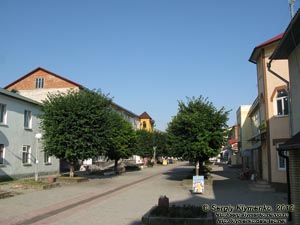 Тернопольская область, Борщёв. Фото. По улицам старого города.