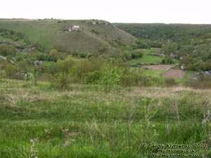 Хмельницкая область. Село Кривчик Дунаевецкого района. Фото. Вид на товтру «Грабина» (48°48'07"N, 26°49'54"E).