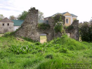 Хмельницкая область. Село Пановцы Каменец-Подольского района. Фото. Руины Панивецкого замка (48°37'23"N, 26°36'54"E).