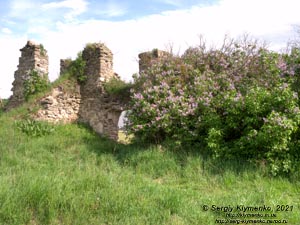 Хмельницкая область. Село Пановцы Каменец-Подольского района. Фото. Руины Панивецкого замка (48°37'23"N, 26°36'54"E).
