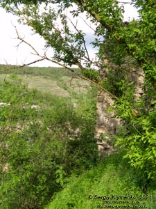 Хмельницкая область. Село Пановцы Каменец-Подольского района. Фото. Руины Панивецкого замка (48°37'23"N, 26°36'54"E).