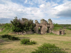 Хмельницкая область. Село Пановцы Каменец-Подольского района. Фото. Руины Панивецкого замка (48°37'23"N, 26°36'54"E).
