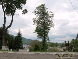 Черновицкая область. Город Вижница. Фото. Вид города с улицы Лукьяна Кобылицы.