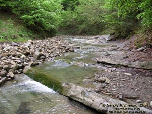 Черновицкая область, Вижницкий район. Фото. «Буковинские водопады». Чуть выше по течению от водопада Ворота (48°10'00"N, 25°08'34"E).