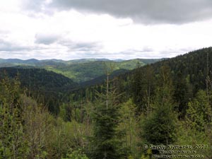 Черновицкая область, Вижницкий район. Фото. Пейзаж с дороги к перевалу Шурдин (47°58'29"N, 25°15'26"E).