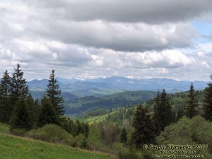 Черновицкая область, Вижницкий район. Фото. Пейзаж с дороги рядом с перевалом Шурдин (47°57'11"N, 25°14'03"E).