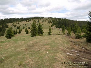 Черновицкая область, Вижницкий район. Фото. На коварной полонине (47°45'21"N, 25°02'12"E) выше перевала Семенчук.