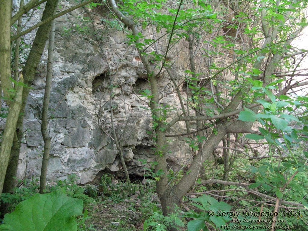 Хмельницкая область. Село Сутковцы. Фото. Сутковецкий замок (49°10'37"N, 26°55'37"E), XV-XVI века.