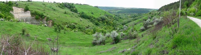 Хмельницкая область. Неподалёку от сёл Кружковцы и Притуловка. Фото. Живописный Ушицкий (Притуловский) каньон – каньон речки Ушица (48°49'17"N, 27°06'50"E). Панорама ~180°.