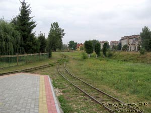 Ивано-Франковская область, посёлок городского типа Выгода. Фото. Маневровые пути Карпатской узкоколейной железной дороги - «Карпатского трамвая».