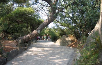 Алупка. Дворцово-парковый музей-заповедник. В Нижнем парке.