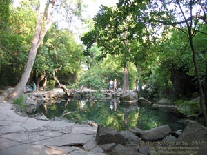Алупка. Дворцово-парковый музей-заповедник. Верхний парк. Озеро.