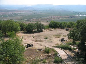Крым. Севастополь, Сапун-гора. Трофейная военная техника на позициях.