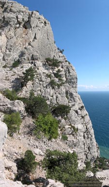 Крым. Вид с горы «Кошка» на море.