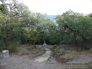 Крым. Алупка. Спуск от отеля «Серсиаль» к морю.