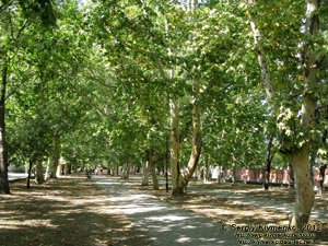 Крым, Феодосия. Фото. Улицей Горького.