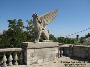 Крым, Керчь. Фото. Большая Митридатская лестница. Грифон.